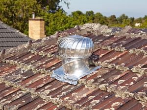 Vent on a roof