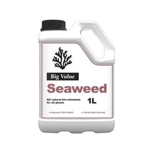 Big Value 1L Seaweed Bio-Stimulant
