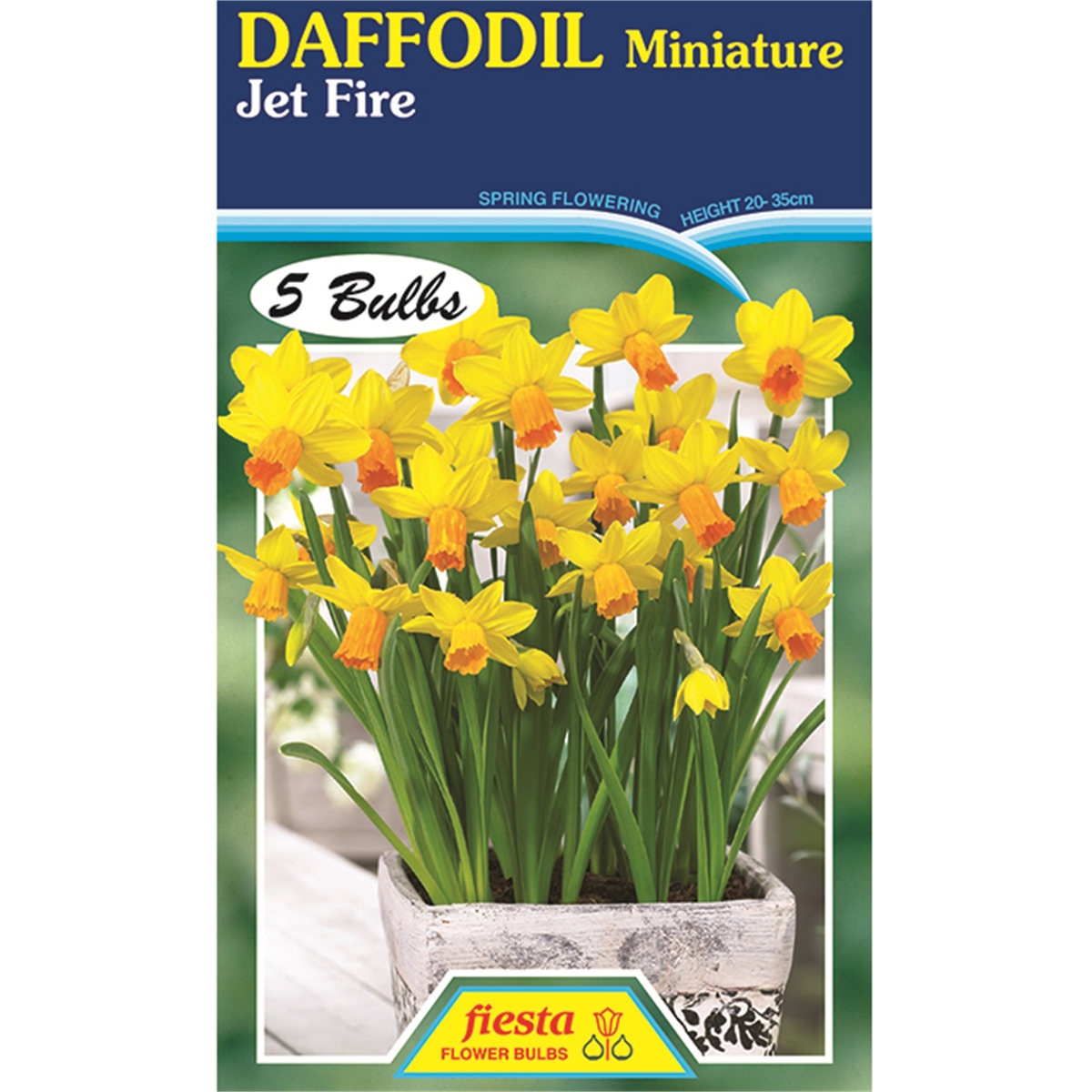 Daffodil Jetfire - 5 Bulbs - Bunnings New Zealand