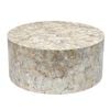 Snow Crest Mother of Pearl Coffee Table