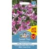 Mr Fothergill's Sweet Pea Pandemonium