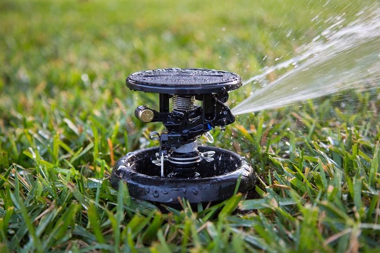 Close up of rotating sprinkler in a lawn with water spraying out