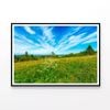 Flowering Meadow with Cloud  Print 100% Australian Made 90x60cm  (Poster)