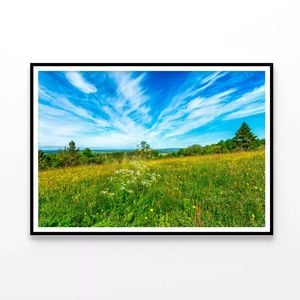 Flowering Meadow with Cloud  Print 100% Australian Made 90x60cm  (Poster)