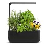 Mr Fothergill’s HydroGarden Elite Hydroponic Grow Kit