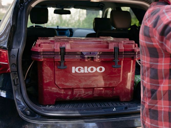 Igloo - Brand page - Gallery 1 - IMX