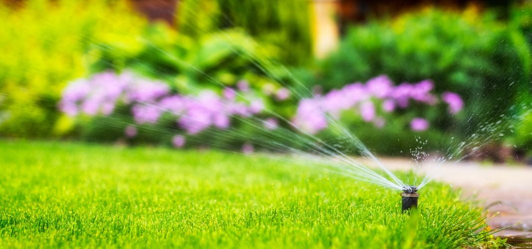 Sprinklers watering a lawn