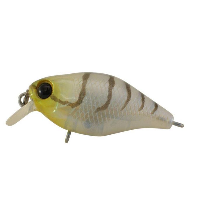 Jackall Chubby 38 Shallow Hard Body Fishing Lure Suji Shrimp