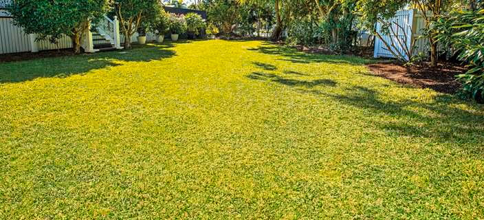 Outdoor  lawn with garden beds and timber fence