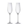 Cellar Premium Ii Set Of 2 Champagne Glasses