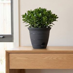 Eden 15cm Charcoal Roman Self Watering Planter - Charcoal 153mm