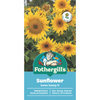 Fothergill's Sunflower Sumo Sunny F1 Seeds