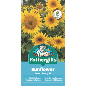 Fothergill's Sunflower Sumo Sunny F1 Seeds