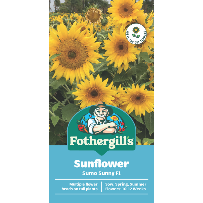 Fothergill's Sunflower Sumo Sunny F1 Seeds