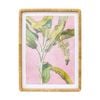Lvd Ratten Framed Banana Palms Print Wall Hanging Decor 60x80cm Assorted