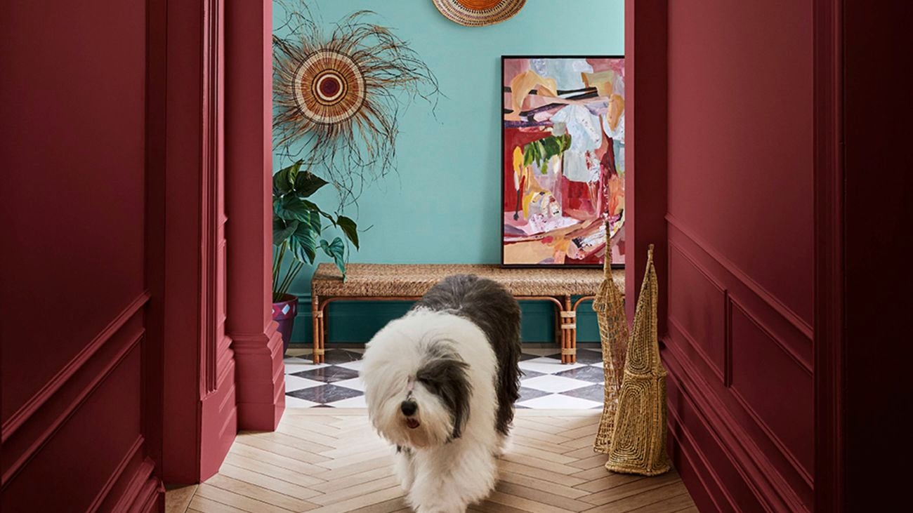 A hallway with a dog in it, burgundy walls and wooden floors in it.