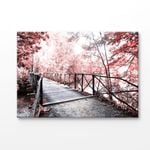 Forest Bridge With Red Autumn Trees Print 100% Australian Made 75x50cm (Stretched Canvas)