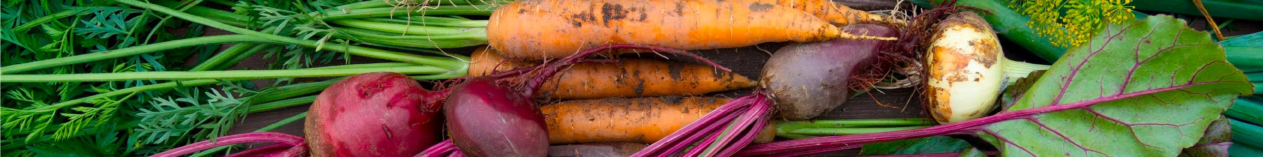 Close up of fresh vegetables.
