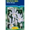 Fiesta Flower Bulbs Dutch Iris White Bridge - 7 Bulbs