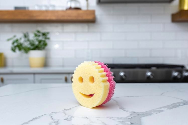 Close up of the Scrub Mommy sponge on a kitchen benchtop.
