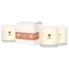 Nicola Spring 3x 400g Soy Wax Scented Candles - Pumpkin Spice - 45 Hour Burn Time Relaxation Aromatherapy Gift Ready Jar Candle