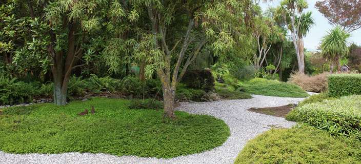 A lush green garden with a central tree, winding gravel path, and dense foliage in the background.