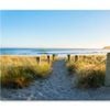 Bollards And Grassy Dunes  Print 100% Australian Made 120 x 90cm  (Stretched)