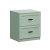 Oikiture Bedside Table 2 Drawers Nightstand Cabinet End Table Green