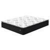 24cm Mattress STARRY EUCALYPT  - Double