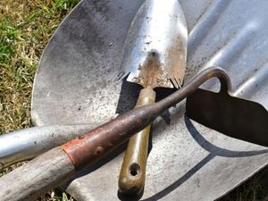 Assorted garden tools