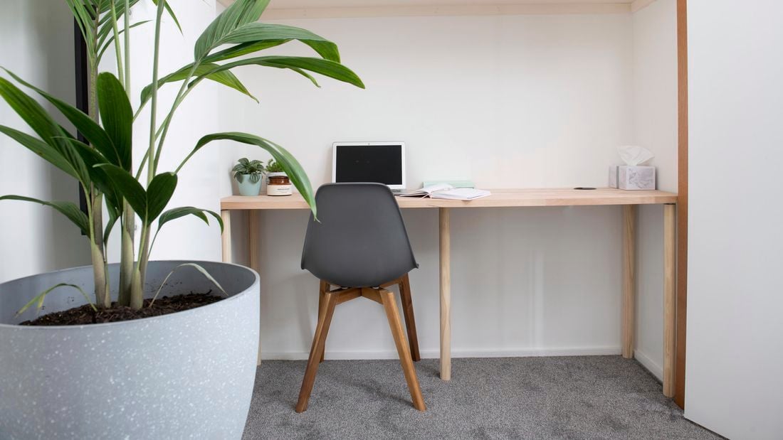 A completed closet work desk with chair, small plant pots, laptop and books, with a large pot plant trying to photobomb it