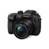 Panasonic Gh5 Ii Camera W/ Lumix 12-60mm Lens
