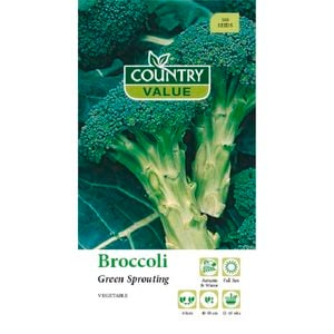 Country Value Seed Broccoli Green Sprouting