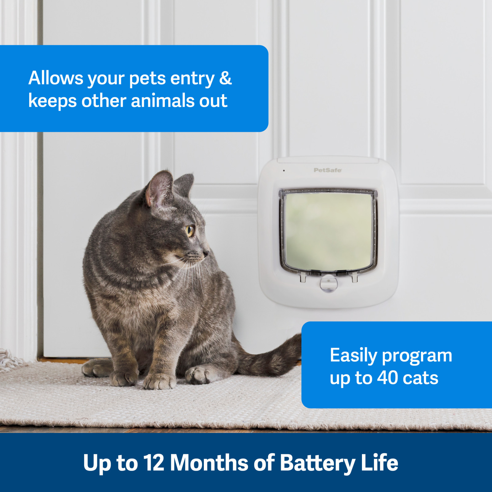 Petsafe Microchip Cat Flap Cat Door Bunnings Australia
