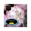 Fiesta Bulb Paeony Vogue Packaged Tuber - 1 Pack