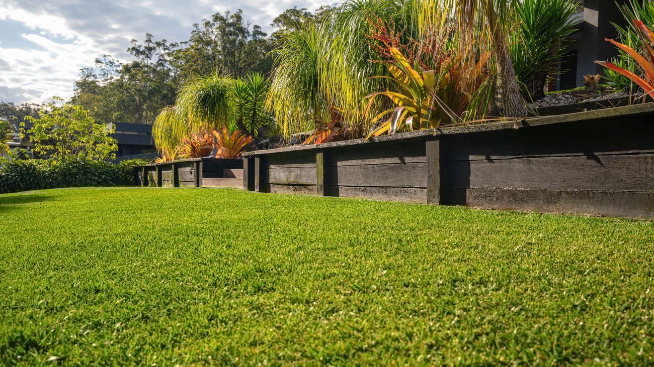 Winter lawn watering care
