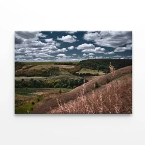 Cloudy Sky and Forest Scenery  Print 100% Australian Made 90 x 60cm  (Stretched)