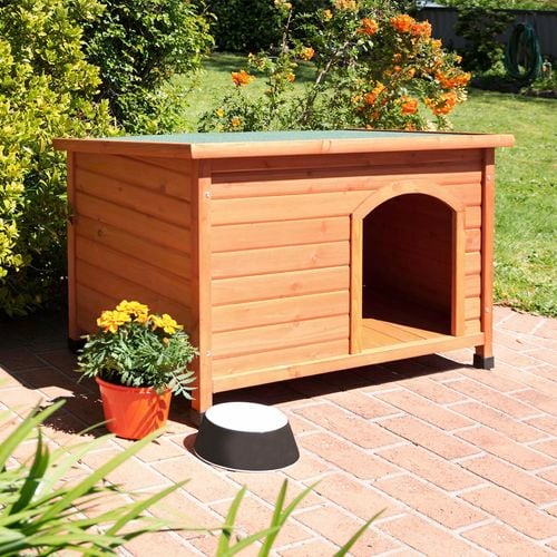 Small dog kennel bunnings discount