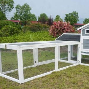 Super Large Villa Plus Chicken Coop