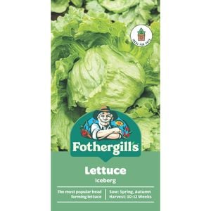 Fothergill's Lettuce Iceberg
