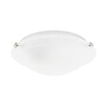 Luce Bella 30cm Alabaster Oyster Light
