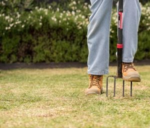 A person wearing work boots is using a garden fork to aerate a grassy lawn. 