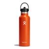Hyrdo Flask Standard Flex Straw Cap Stainless Steel 621ml Insulated Bottle Mesa