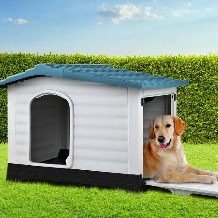 Animal Shelter Bunnings Dog Pens BEASTIE 40