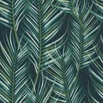 Transform 52cm x 5 m Leaves Black Peel & Stick Wallpaper