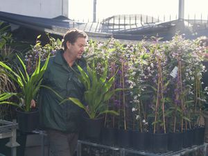 Trade Service - Commercial Greenlife - Header - BunningsLandscape_ 1291