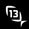 13