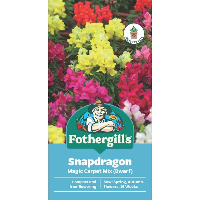 Fothergill's Snapdragon Magic Carpet Flower Seeds