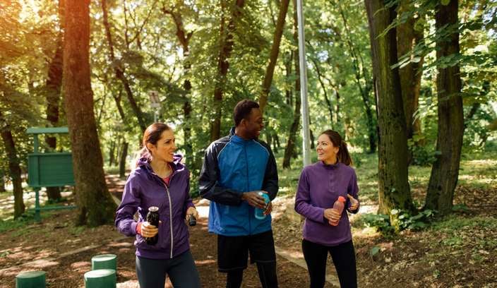 Friends in the forest walking and chatting
