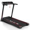 BLACK LORD Treadmill Foldable ZT-3